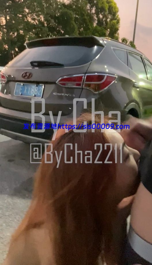 两部查小理户外露出视频【2v/1.79g】 2 两部查小理户外露出视频【2v/1.79g】 2