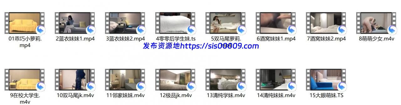 精选高颜值探花合集 【29G】 4