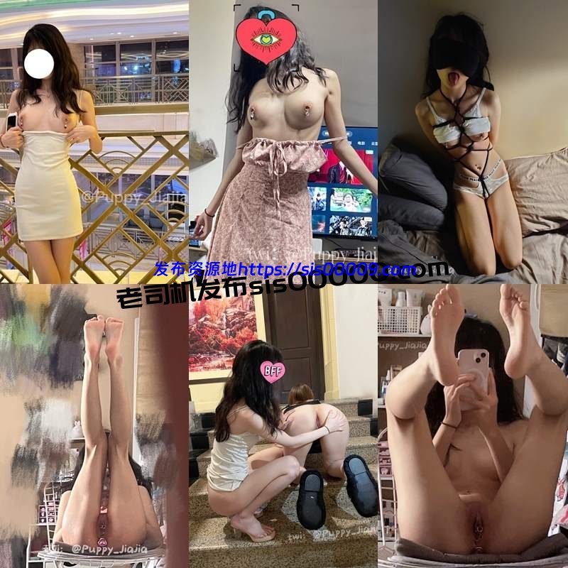 推特乳钉阴环00后小海带 Puppy_Jiajia【1084P/54V/363MB】 2