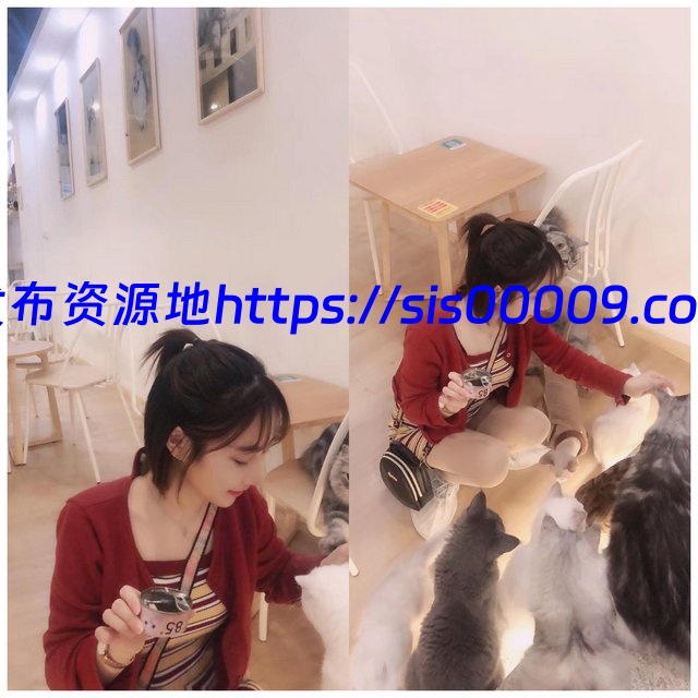 思思不约主播合集【多v/33G】 2