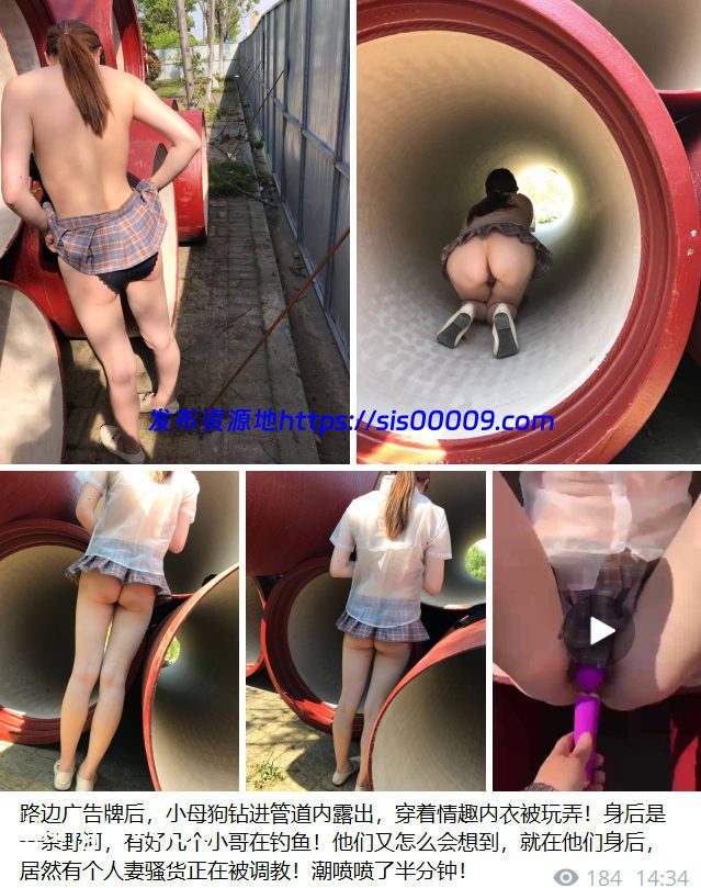 【终极调教 3