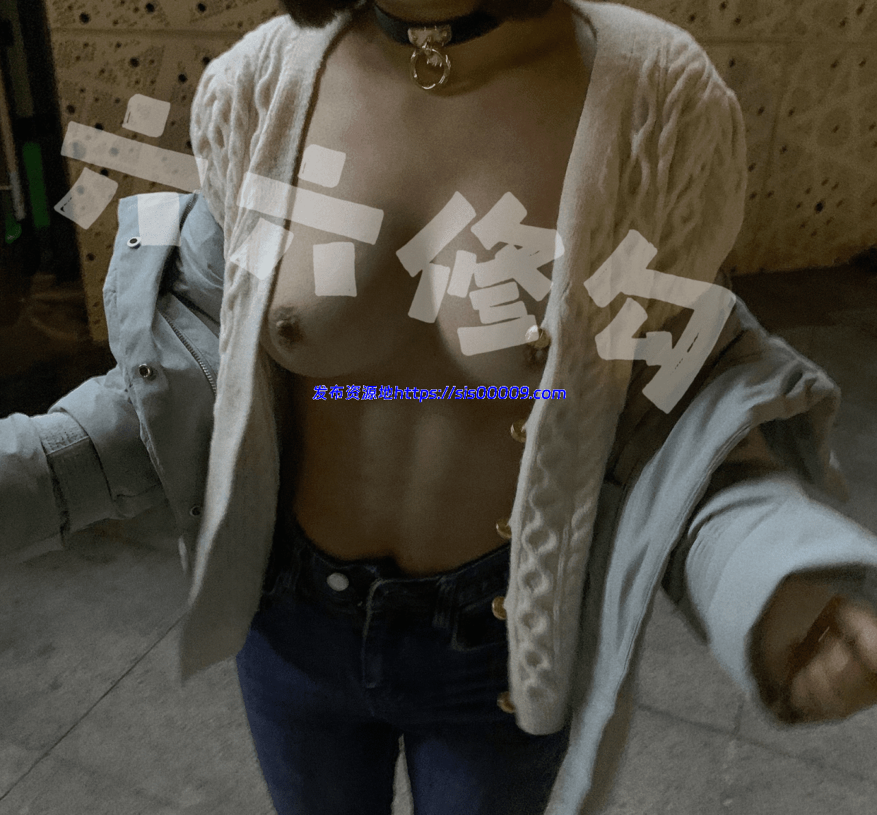 【极品女神】六六完美翘臀大尺度视图紫微【87P+26V/412MB】 8