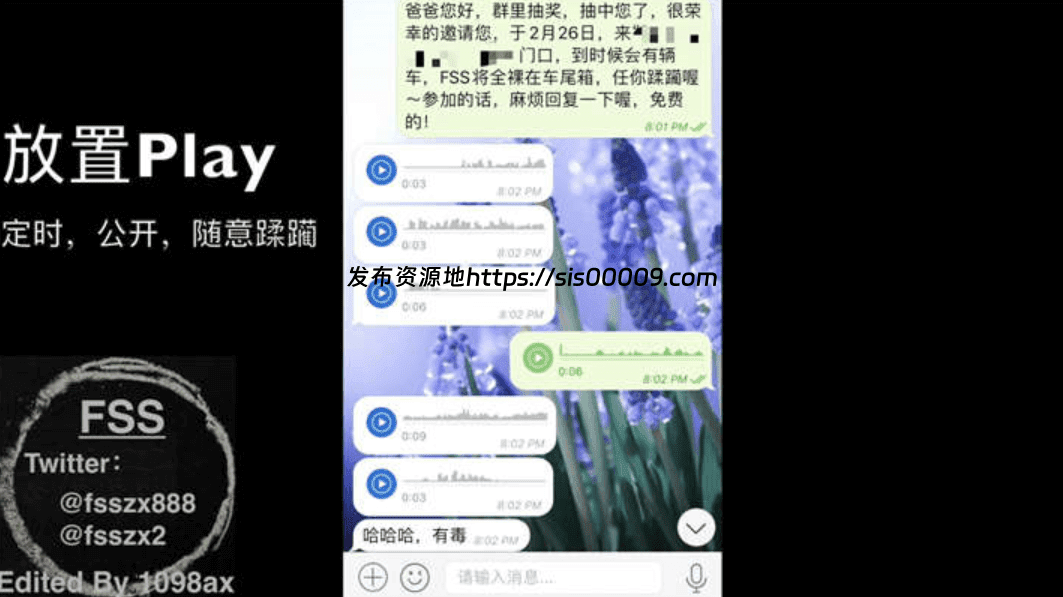 极品网红@FSS冯珊珊 – 后备箱公开处刑[1V/866MB] 2