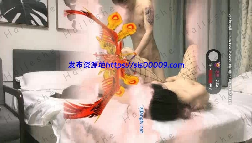 国产探花小北寻花合集 25G 8