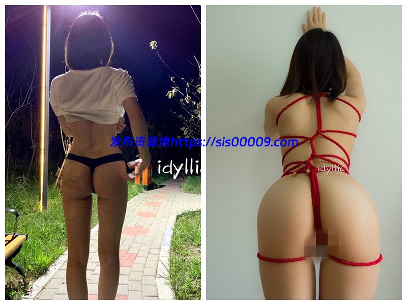 推特极品小情侣【idyllic】露出啪啪，绝美气质女友身材极品 9