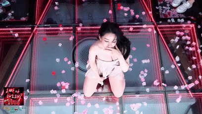 ✨韩国BJpantatv【flowerwar顺东团播】实录~群舞劲爆solo卡牌游戏 4 ✨韩国BJpantatv【flowerwar顺东团播】实录~群舞劲爆solo卡牌游戏 4