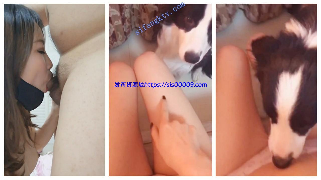 ★★★【土豪福利】媚媚自慰/啪啪/室外露出/让狗舔奶子20v 7 ★★★【土豪福利】媚媚自慰/啪啪/室外露出/让狗舔奶子20v 7