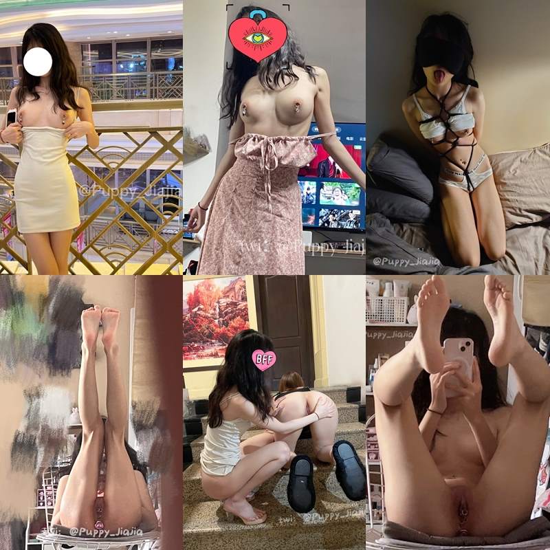 推特在校白虎女大乳钉阴环00后 小海带Puppy_Jiajia【1084P+54V/881MB】 2