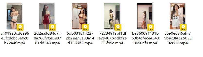 快手 星星碎了-2 巨乳好身材 裸舞 脱衣舞 抖胸舞 大摆锤【6V】【69.9M】 2