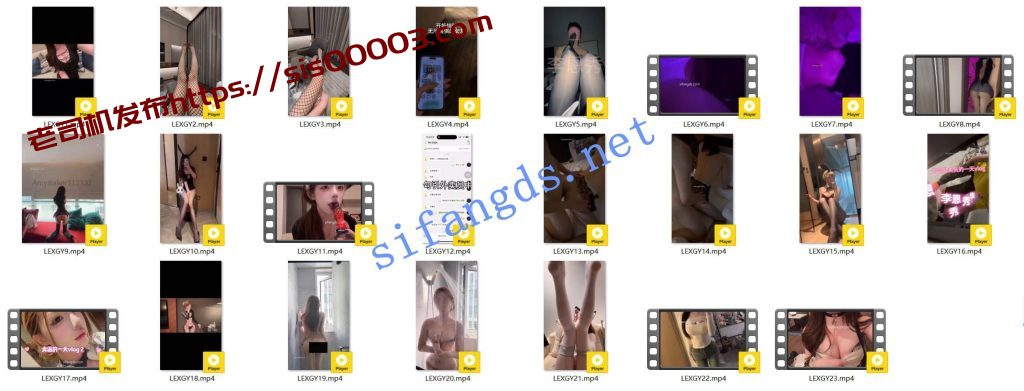 抖音 李恩秀 魔鬼身材骚母狗 啪啪做爱 勾引外卖员等【23V】【107M】 2