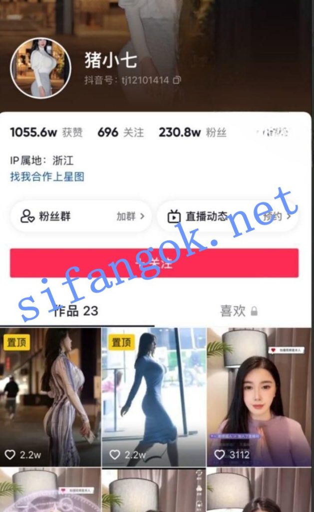 抖音 猪小七 200万粉 木瓜巨乳 超大尺度合集 超长时间【5V】【1.3G】 1