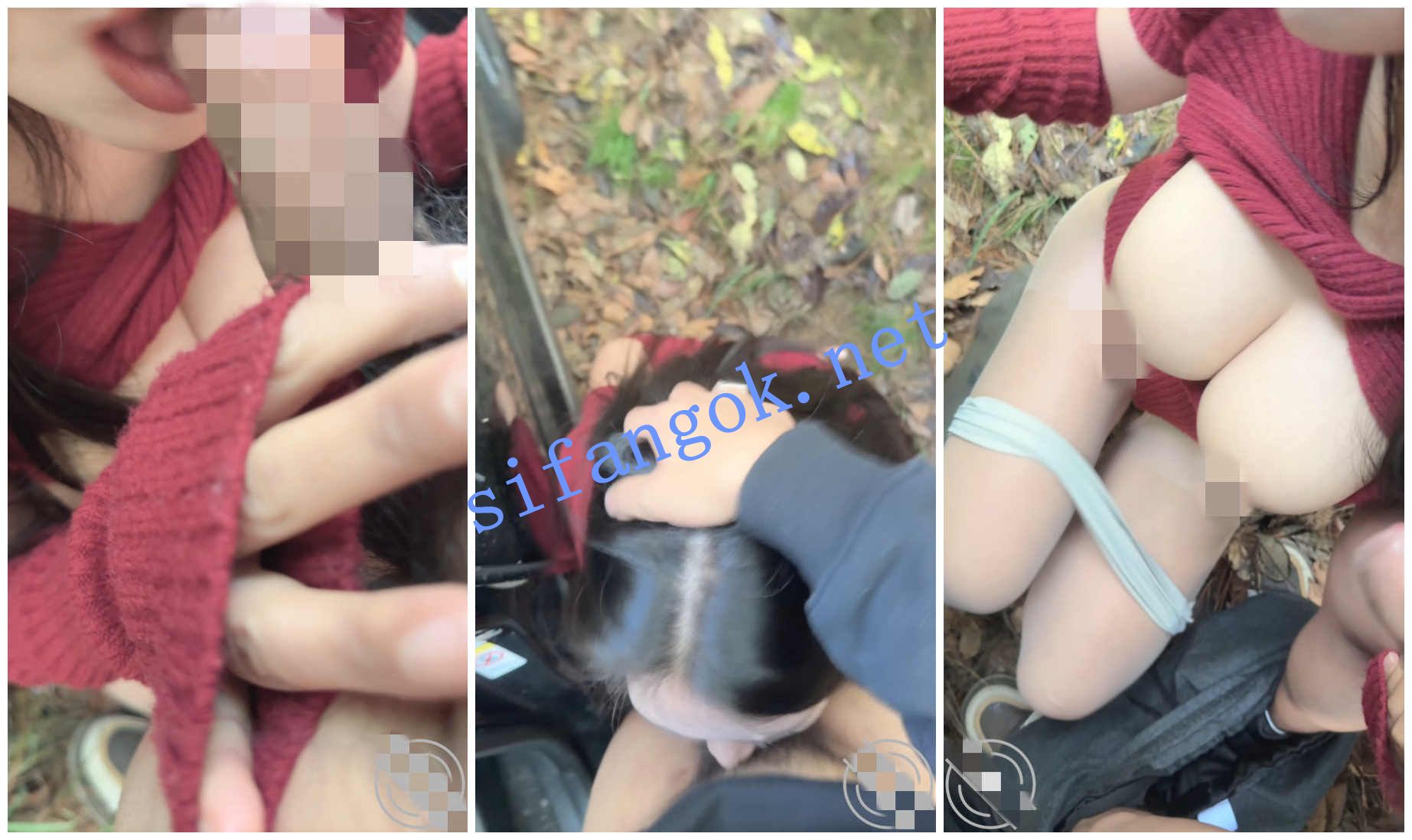 ⭐外站操逼大神正义君⭐户外车震爆草偷情人妻,极品美胸 7
