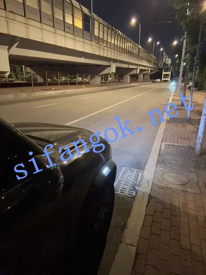 ✅ST开票【Aria-1111】长腿御姐户外马路边裸体抽查喷水 2