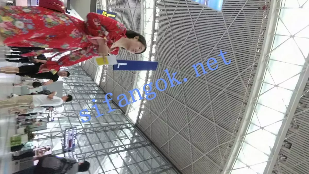 ✅【机场大师级系列】街拍抄底各种极品美女小姐姐大合集 15